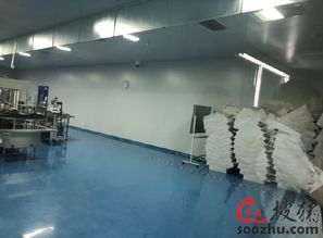 走進(jìn)金海生物國際級工廠，領(lǐng)略世界級產(chǎn)品與技術(shù)服務(wù)的卓越魅力